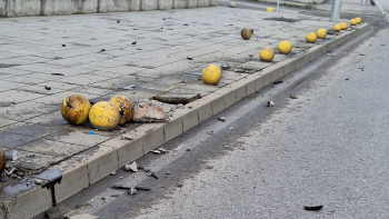 Зрелищна каскада в София: Търкалят се бетонни топки, а колата... СНИМКИ