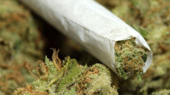 Белият дом предлага легализиране на марихуаната в САЩ