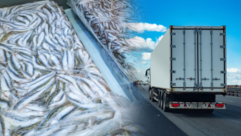Германките плачат заради удар на български митничари по камион със замразена риба СНИМКИ