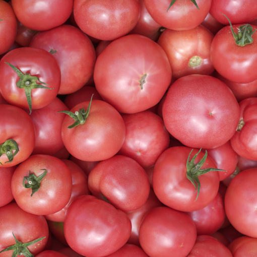Смут и тревога: Кога ЕК е искала забрана на розовия домат