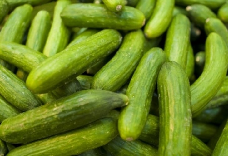 Страхотен трик за богата реколта от краставици