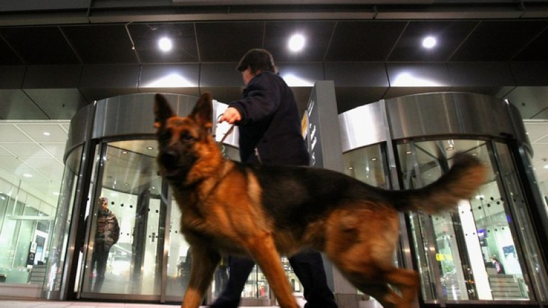 Затвориха за 4 часа летището в Мюнхен заради сигнал за бомба