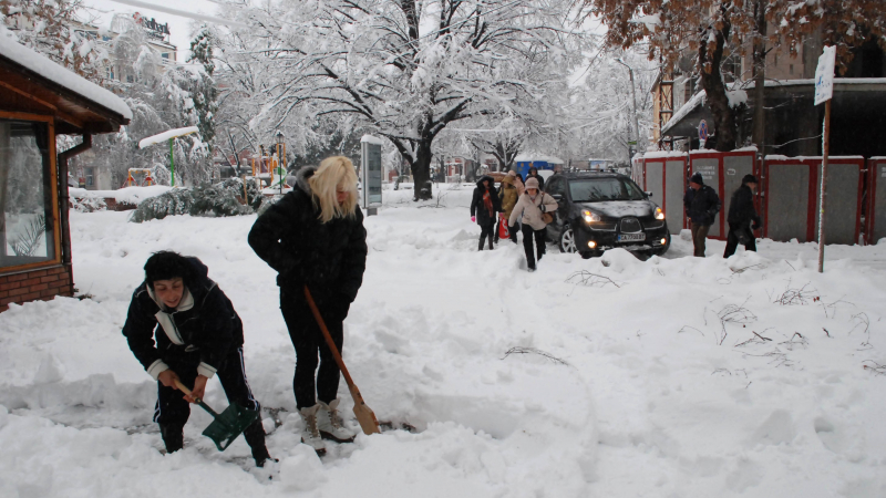 Снегът в Хасково над половин метър, счупи дървета