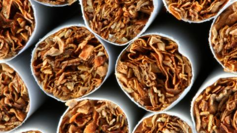 Контрабандни цигари за близо 1,8 млн. лв. заловиха на митница Варна
