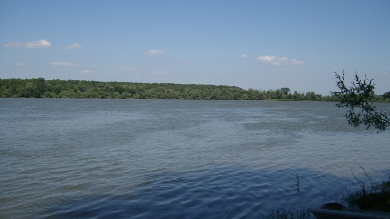 Дунав приижда, опасност от наводнения