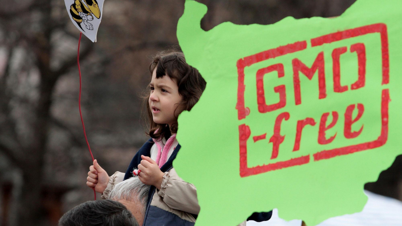 Майки искат оставки заради ГМО