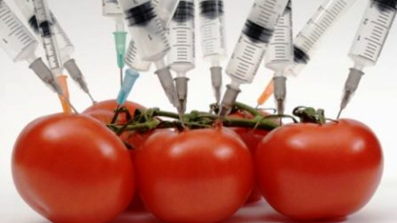Забраняват ГМО в детските храни   