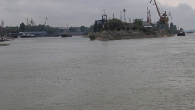 Дунав заля бреговата ивица край Лом и части от Дунавския парк