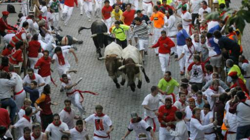 В Памплона се надбягват с бикове, пият вино и правят конкурси за еротично фото