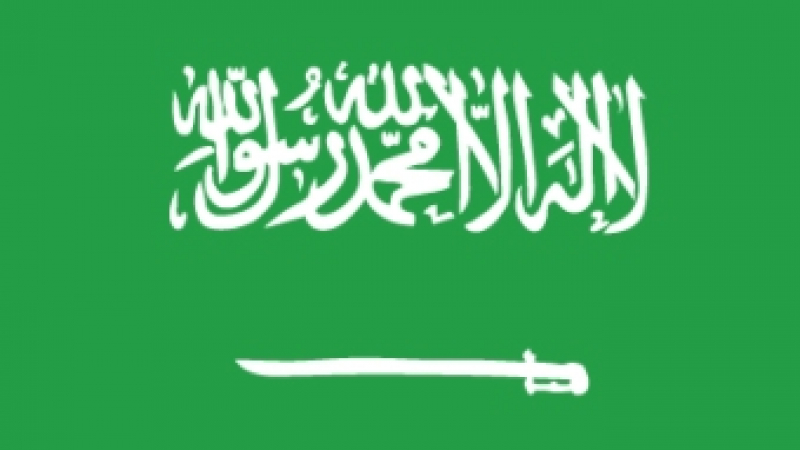 Саудитски съд потърсил лекари да прекъснат гръбначния мозък на осъден