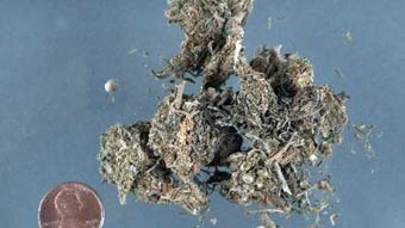 Наркотрафиканти изоставиха 1,7 тона марихуана в морето