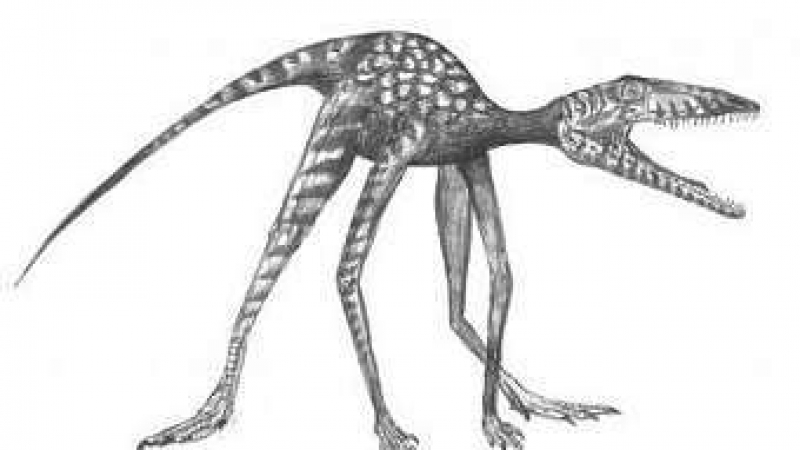 Откриха нещо невероятно в стомаха на динозавър (СНИМКА)