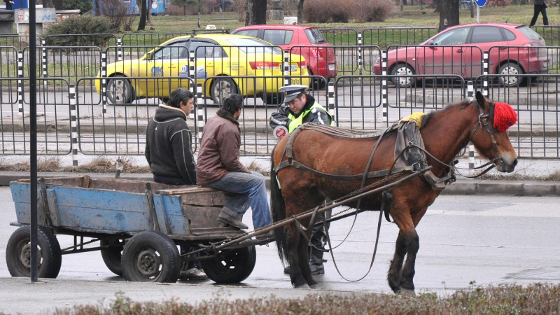 София с паркинг за бездомни коне