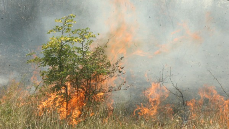 Пожар гори около хижа на Витоша 