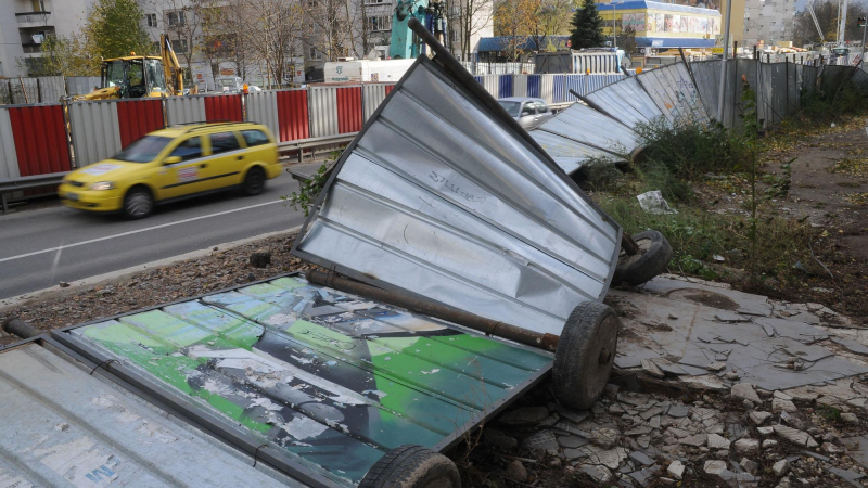 Силният вятър изкорени дървета във Враца