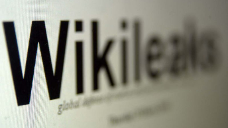 Външно и посолството на САЩ единни срещу Wikieleaks