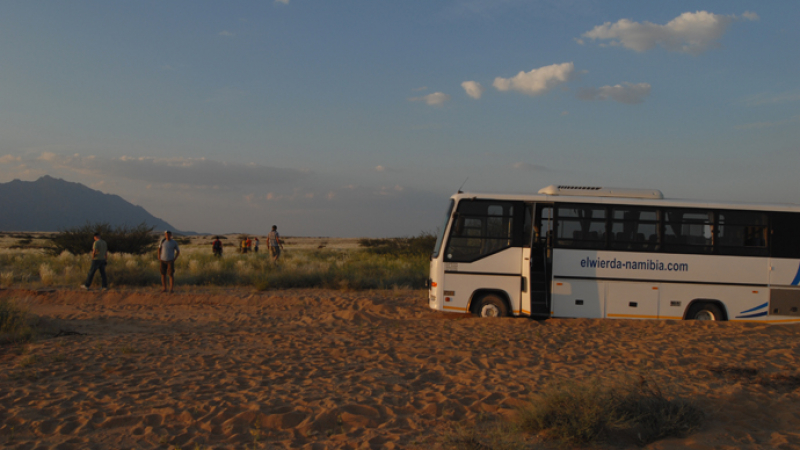Автобус в Египет затъна в кална яма, 15 загинаха