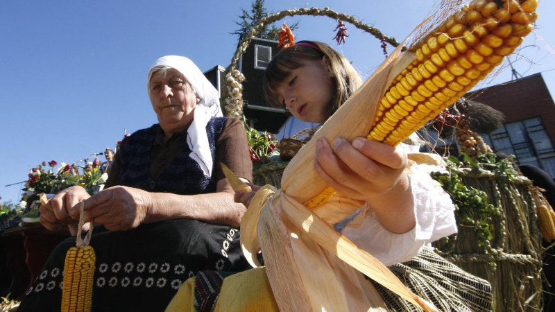 Забраниха царевица мутант в България 