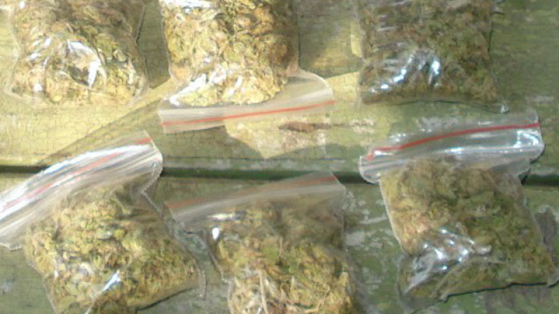 Наркодилър и клиенти вкупом в ареста - не се разбрали за цената на дрогата (ВИДЕО)