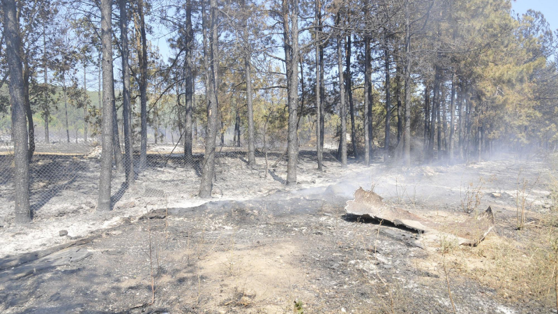 Пожари горят в Кюстендилско 