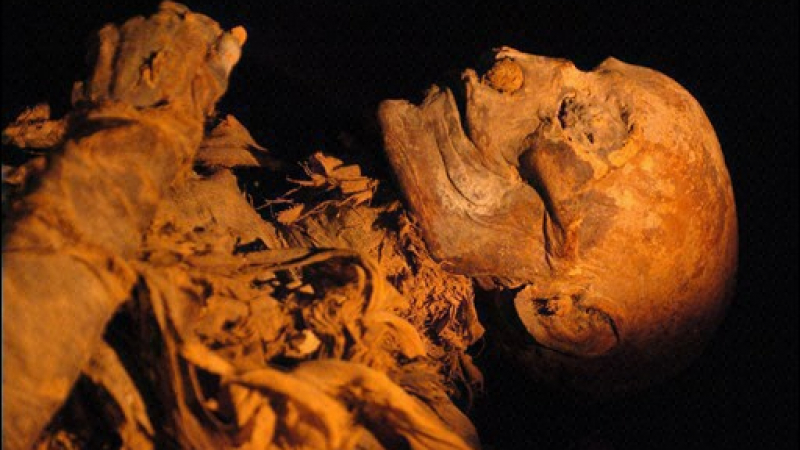 Дъщеря откри мумията на баща си в Плевен