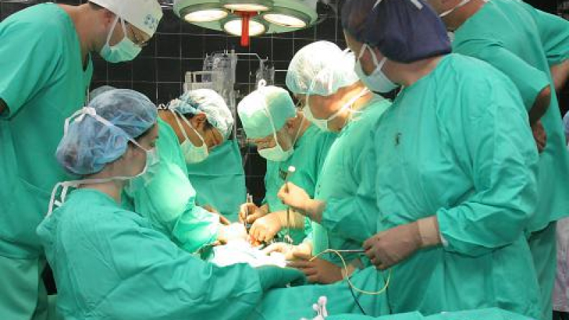Без пари за трансплантации в чужбина тази година