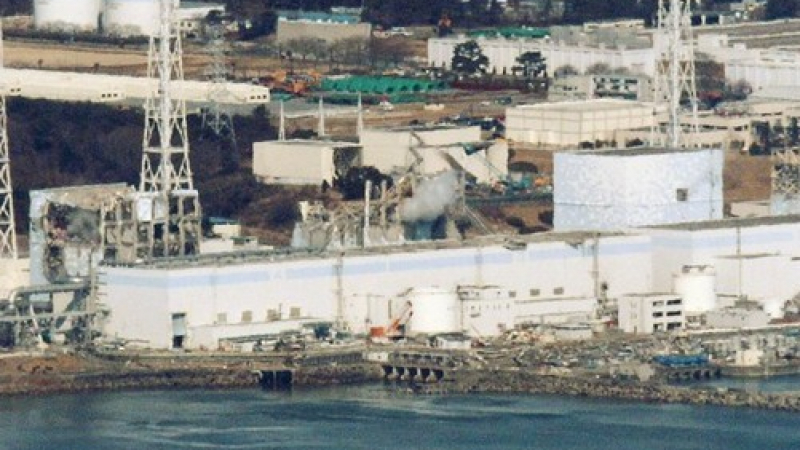 Япония в паника заради радиацията, TEPCO опровергава