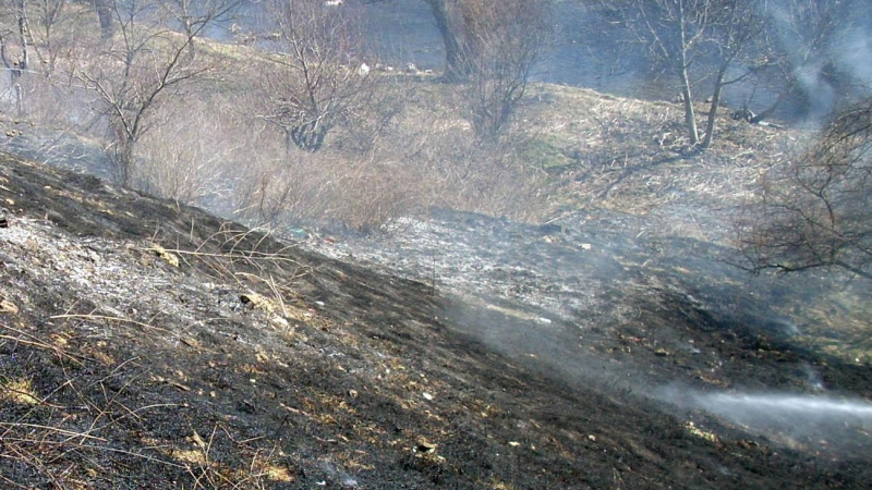 Пожарът край Банско е загасен