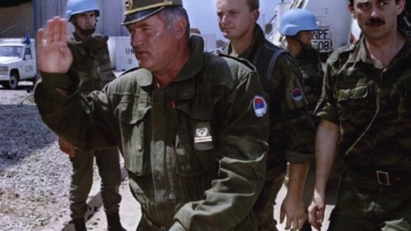 Екстрадираха Младич в Хага