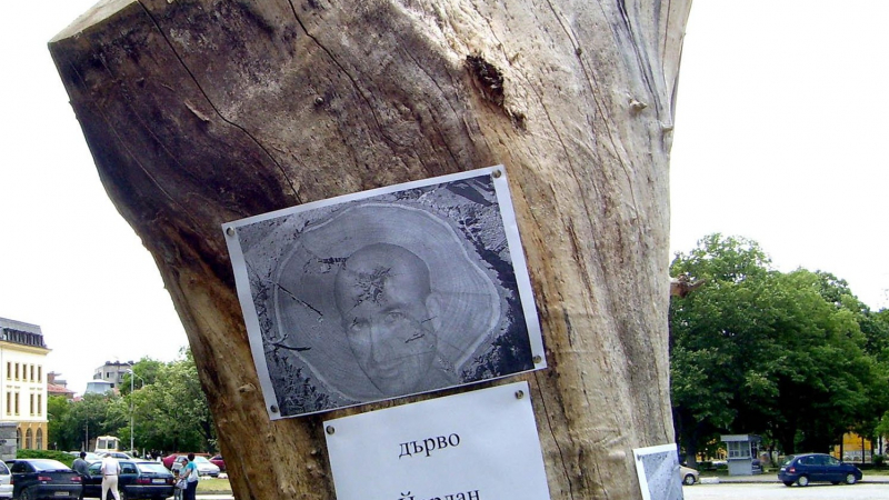 Дърво, наречено Лечков