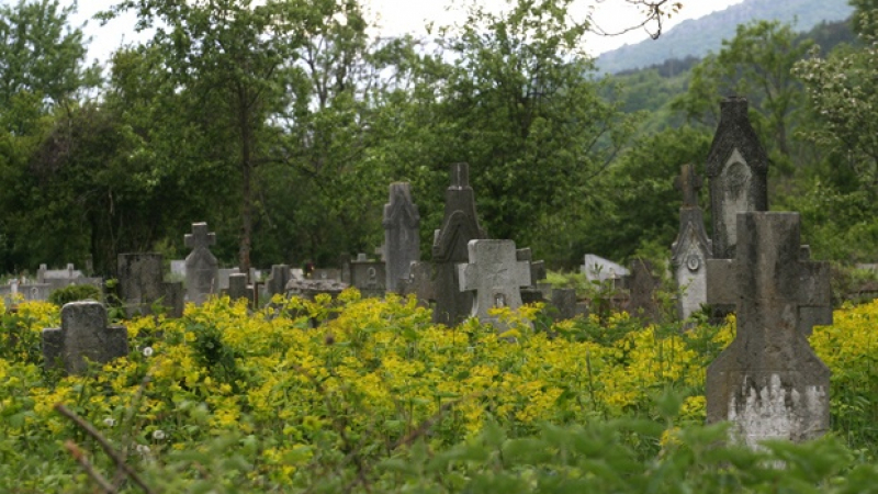 Гробовете във Враца разкопани заради черна магия