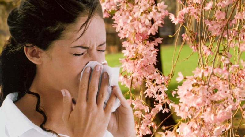 През октомври - безплатни консултации за алергии