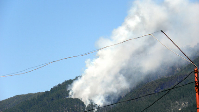 Нови пожари в Балкана - този път край Троян