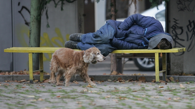 Приют за бездомници отваря врати преди Коледа в Бургас 