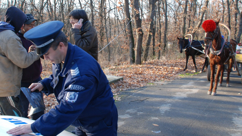 Роми нападнаха с каруци зоопарка край Хасково
