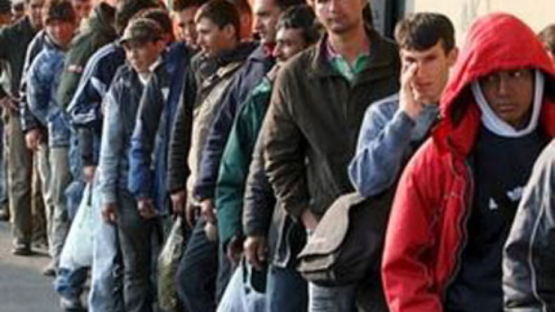 Първенци сме в ЕС по брой безработни и необразовани младежи
