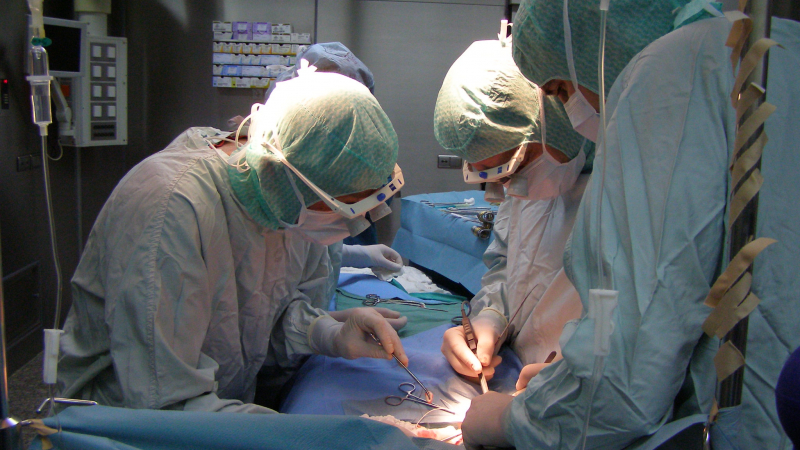 Увеличават парите за трансплантации