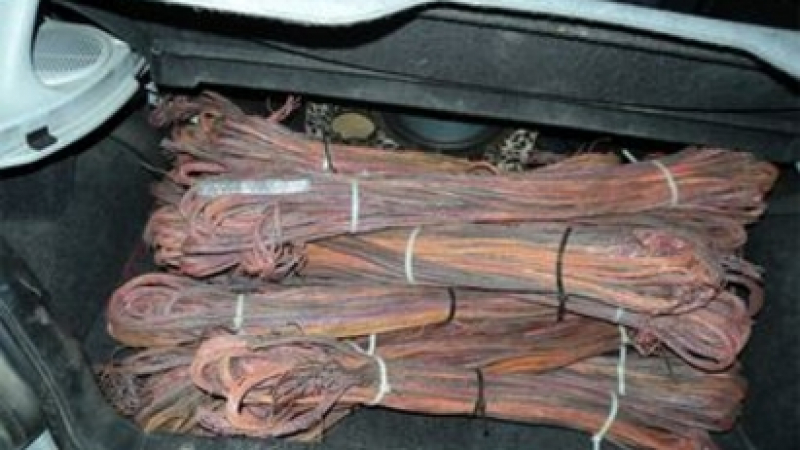 Пипнаха осем крадци на кабели в Албена