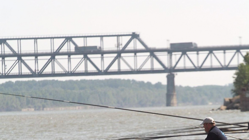 Нашенци опитаха да изведат две афганчета през Дунав мост