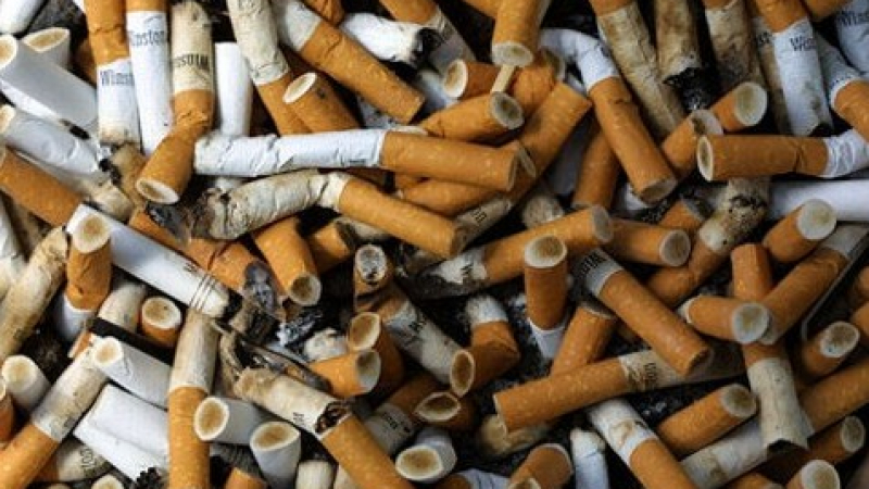 Рекорд! Канада съди тютюневи гиганти за 27 млрд. долара