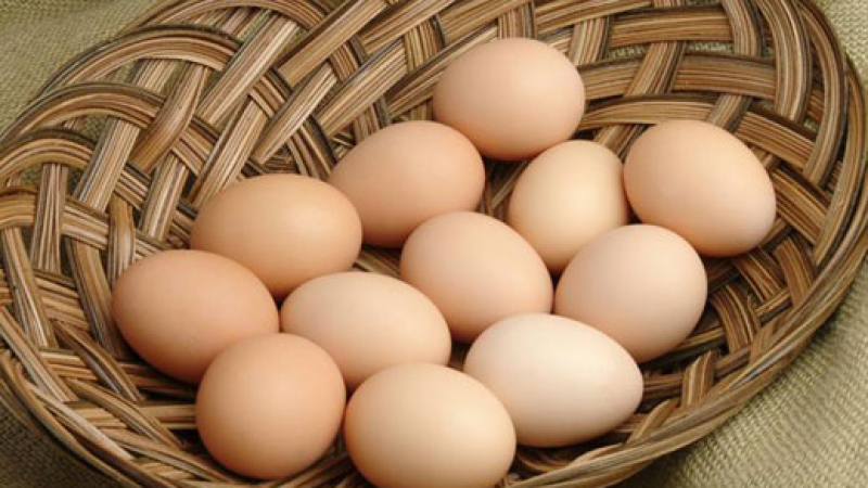 Осуетиха внос на сръбски яйца