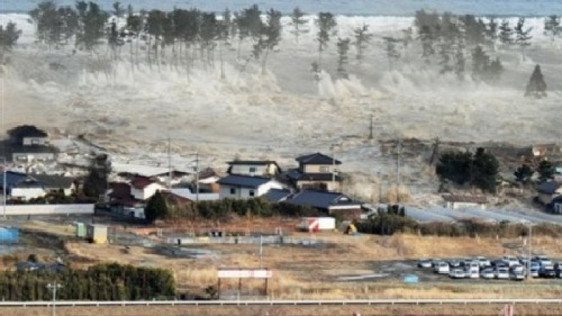 6,8 по Рихтер разлюля Япония, има опасност от цунами 