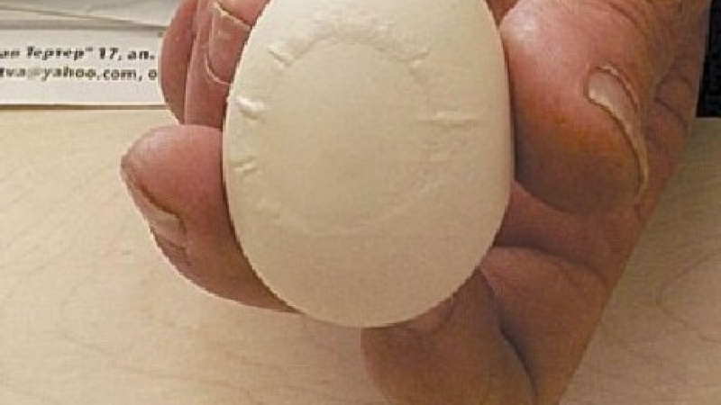 Знамение в Сандански - кокошка снесе яйце с лика на Богородица и Младенеца!