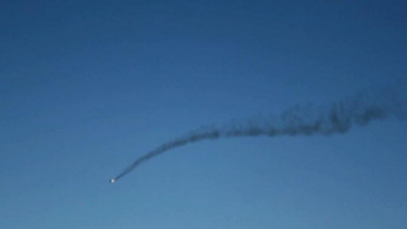 Птица разсеяла пилота на МиГ-29