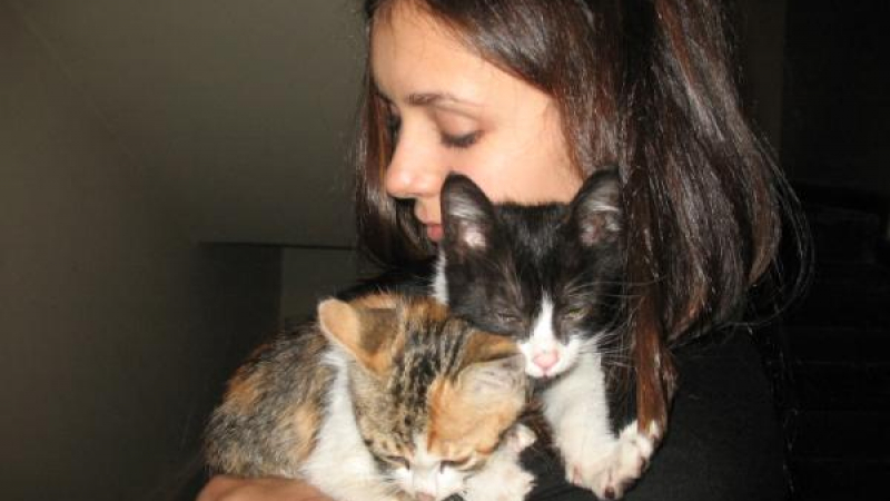 Нина Добрев търси дом за две малки котенца