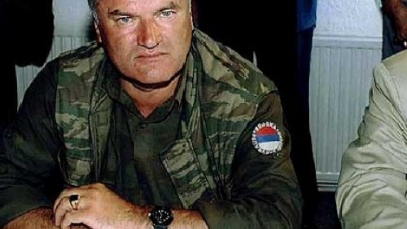 Трибуналът в Хага даде доживотна присъда на Ратко Младич, той отговори с люти сръбски псувни (ВИДЕО)
