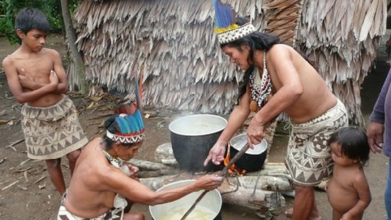 Индианско племе съди Бразилия за 83 милиона долара 