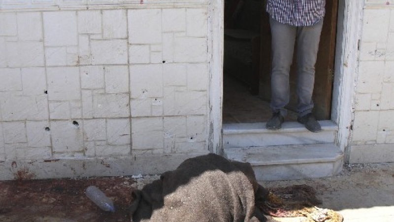 Плъхове гризат останки на сирийски граждани 