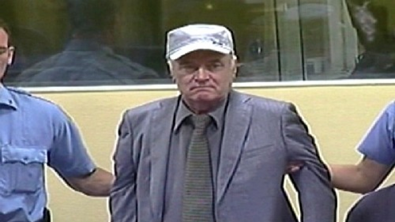 Свидетел се разрева по време на показания срещу Ратко Младич 