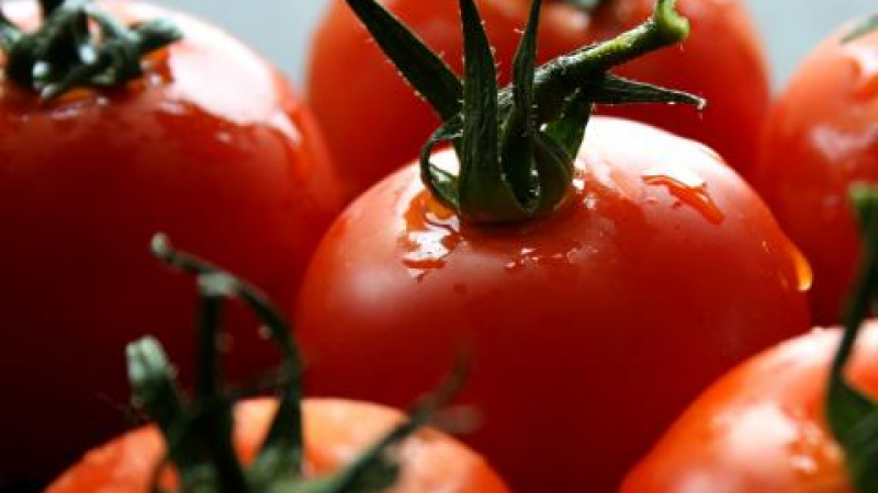 90 % от доматите у нас с израелски ген RIN, не се развалят